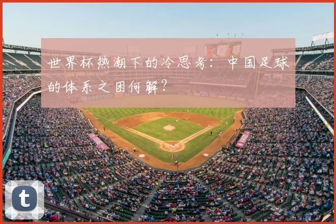 世界杯热潮下的冷思考：中国足球的体系之困何解？