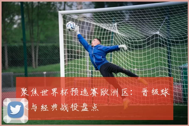 聚焦世界杯预选赛欧洲区：晋级球队与经典战役盘点
