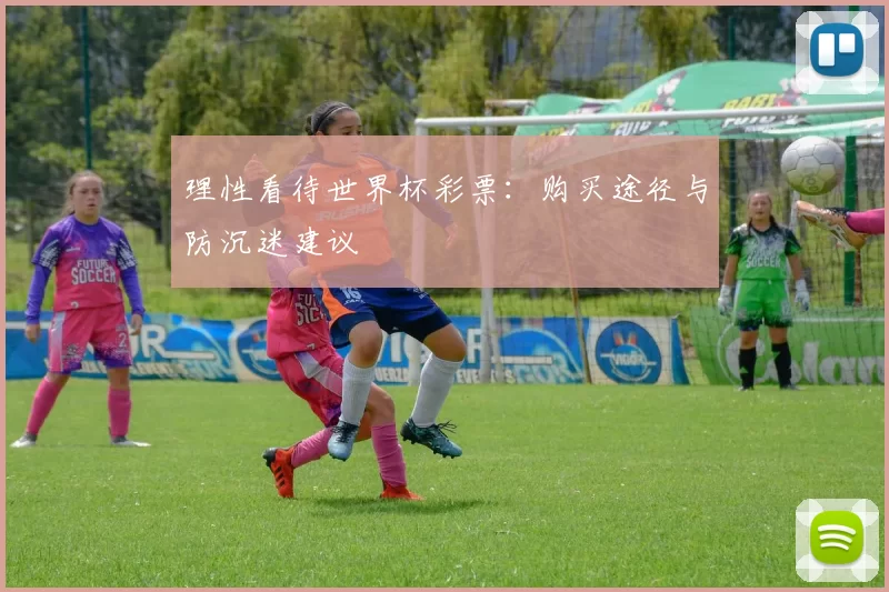 理性看待世界杯彩票:购买途径与防沉迷建议