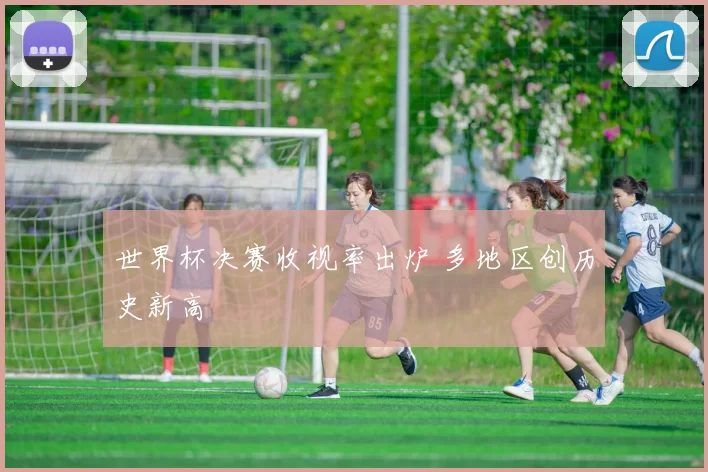 世界杯决赛收视率出炉 多地区创历史新高