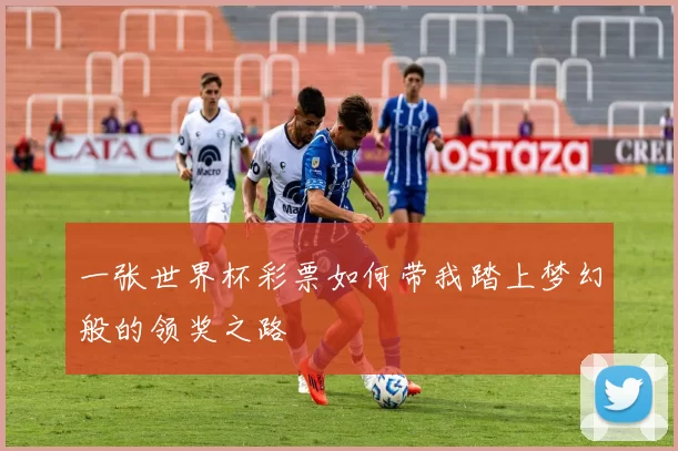 一张世界杯彩票如何带我踏上梦幻般的领奖之路