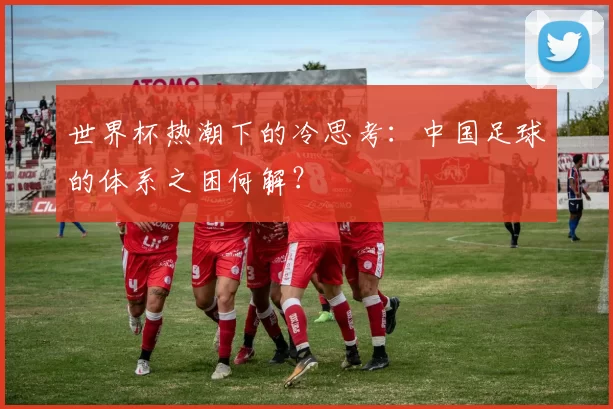 世界杯热潮下的冷思考：中国足球的体系之困何解？