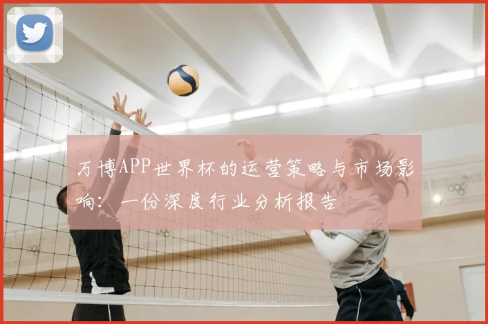 万博APP世界杯的运营策略与市场影响：一份深度行业分析报告